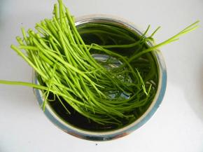 空心菜摘去叶子，留下梗，叶子不要丢掉哦，可以做其他没事，接下来我会发空心菜叶子的美食呢