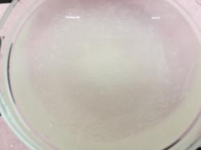 过完冷水，再烧开一锅开水，
把西米放进去进行第二次熬煮
煮至完全透明捞起泡一下冷水
此时西米变得透明了