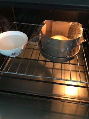 在温暖湿润处进行二发。