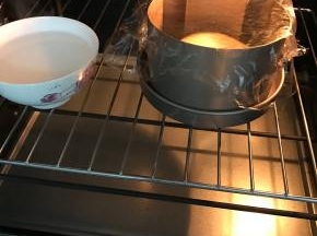 在温暖湿润处进行二发。