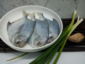 小鲳鱼3条，生姜，葱，少许