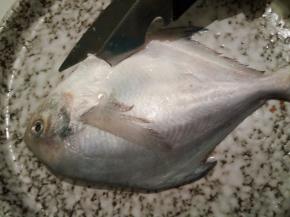 用剪刀把鲳鱼肚子剪开