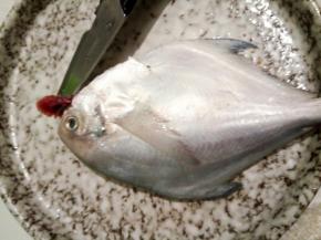 用剪刀剔除鱼鳃