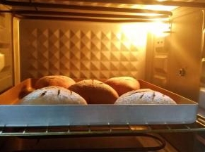 将面包坯放入预热好的烤箱中下层，上火150度，下火180度，烘烤20分钟