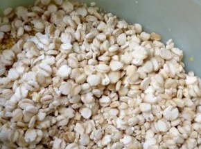 麦片备好
