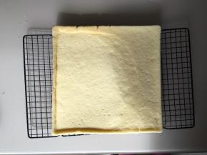 烤箱提前预热170度，上下火，烤25分钟左右，烤好后出炉放在网架上晾凉备用