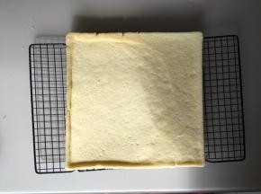 烤箱提前预热170度，上下火，烤25分钟左右，烤好后出炉放在网架上晾凉备用