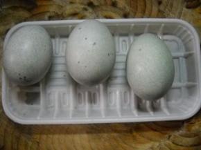 准备好皮蛋3个。