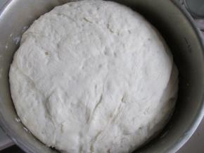 酵母粉和水搅拌匀，加入面粉和成面团，静置发酵。