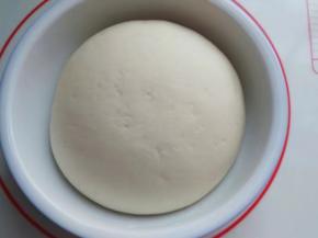 面团发至2倍大以上内部呈蜂窝状后，取出挤压排气；