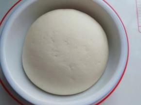 面团发至2倍大以上内部呈蜂窝状后，取出挤压排气；