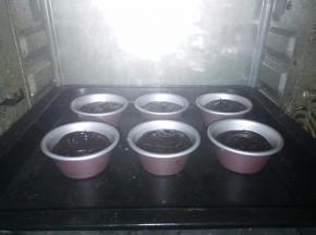 放入预热好的烤箱，180度烘烤10分钟。