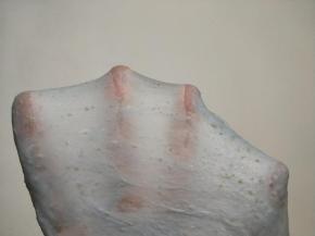 揉至可以拉出不易破的薄膜即可。