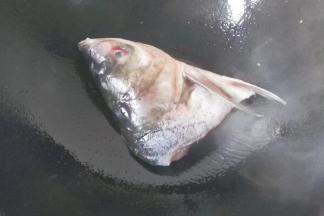 胖头鱼鱼头一半，洗净备用；（就是那种头很大的鱼，我们这里叫它胖头鱼）