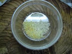 姜蒜去皮、洗净、切细末。