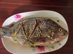 腌制好的鱼，用之前制成的香油刷两面