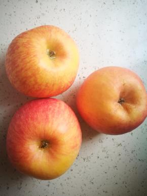 山西新上市的新鲜糖心苹果，没有打蜡，苹果洗干净擦干