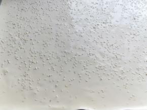 用刮板将蛋糕糊刮平，撒上白芝麻，烤盘垂直震几下，震出气泡。