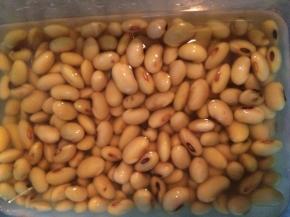 把黄豆洗干净后，加入清水 浸泡10小时左右