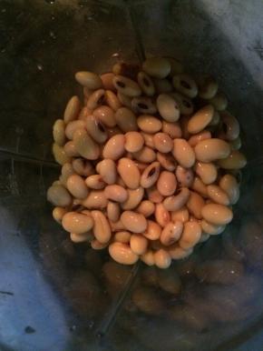 把豆子加入到豆浆机中