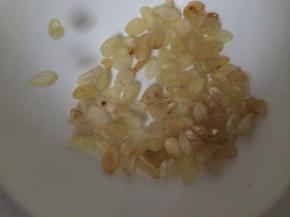 前一天晚上把皂角米放进碗里，加入适量的清水