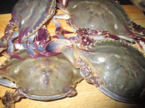 然后洗干净，沥下水