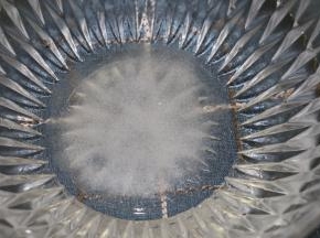 先准备一大碗盐水