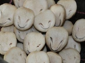 草菇泡洗一下，对半切开
看～个个像微笑的小外星人