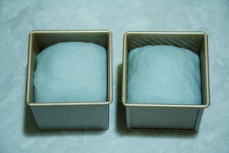 收口朝下放入模具发酵至八分满，加盖吐司盖。