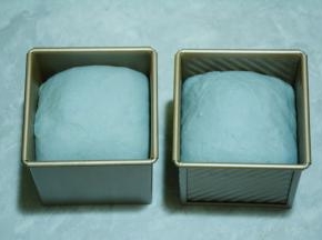 收口朝下放入模具发酵至八分满，加盖吐司盖。