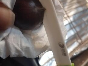 然后用小刀在栗子尖的方向划一个十字口，防止栗子烤制过程中爆锅。