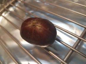 然后把划好口的栗子摆在烤盘上。