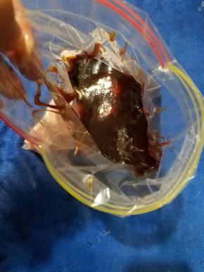 把叉烧酱也倒入密实袋。