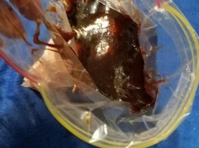 把叉烧酱也倒入密实袋。