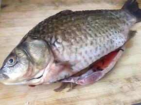 将鲫鱼去鳞，切开肚子，将内脏去掉。鳃去掉，洗干净