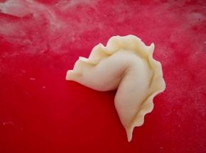 把饺子从中间对折，就是一对漂亮的翅膀，