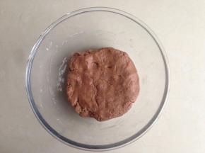 揉成面团，盖上保鲜膜放冰箱冷藏保存30分钟