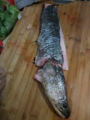 一条黑鱼清洗干净