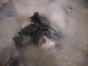 大火烧开再小火慢煮