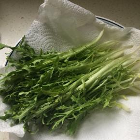 苦菊用直饮水洗净，放厨房用纸上吸干水份