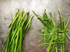 将韭菜的黄叶子拆掉。