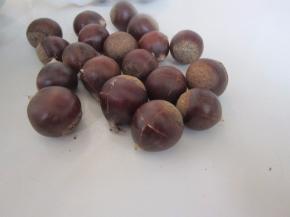 用剪刀在板栗身上划“十”字口。