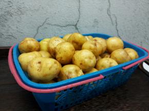 小土豆清洗干净