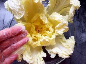 将大白菜洗净沥干水份，带上一次性硅胶手套，把白菜掰开，从里面往外面一片一片抹上盐，每一片都要抹到。