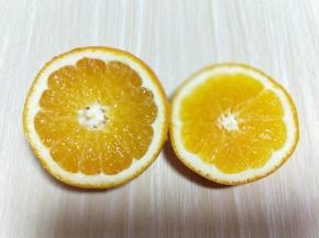 橙子洗干净，切开。(一切二)