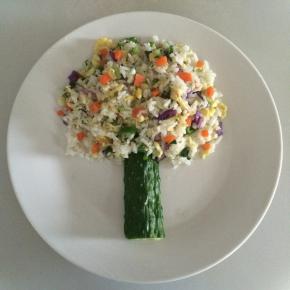 米饭散放在黄瓜上，修整一下成大树形状