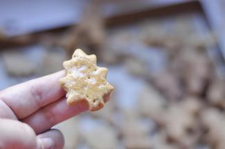 14、取出晾凉后，饼干上抹少许蜂蜜