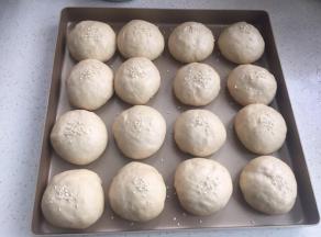 烤箱发酵至1.5--2倍。（烤箱里放碗热水）。发酵好后，面团表面喷点水，撒白芝麻