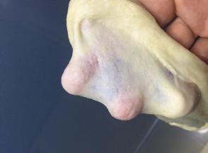 面团材料揉出薄膜