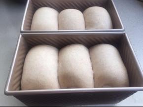 放入烤箱发酵到8分-9分满。